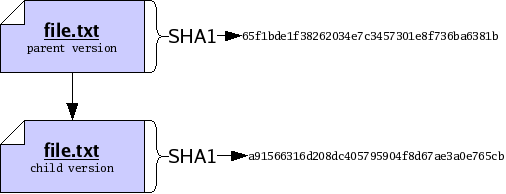 figures/parent-child-names-hashes